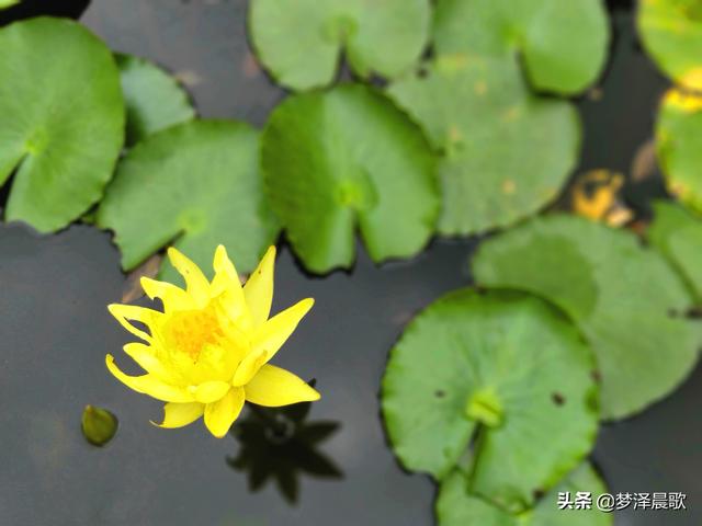 美丽大方的校园，郑州市创新实验学校金桂街校区开展“最美教室”活动
