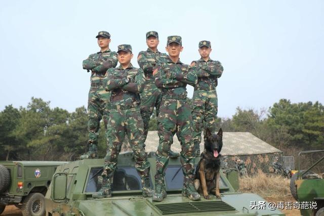 我是特种兵第四部，我是特种兵之霹雳火第四部（从军旅好剧一步步走向了神剧、雷剧）