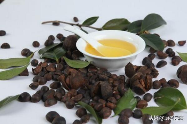 了解几种食用油的营养价值，各种食用油的营养大全