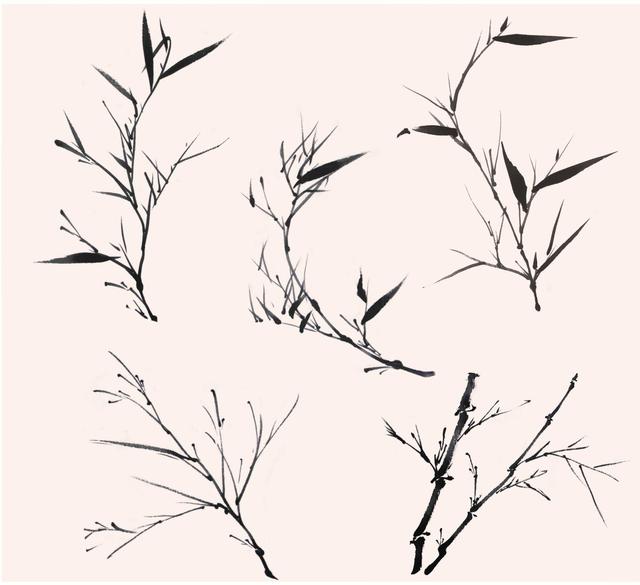 国画竹子的竹枝怎么画，国画竹竿竹枝画法