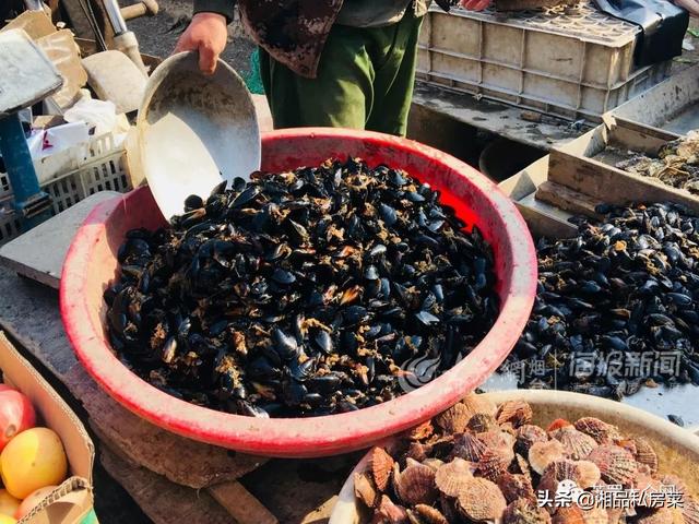 鱼肉饺子馅的正宗做法，鱼肉饺子馅做法大全图解窍门