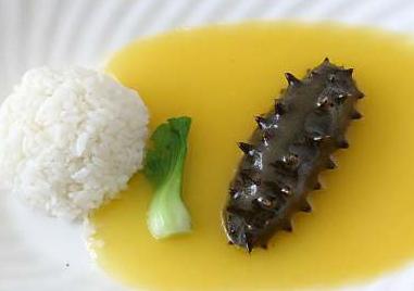 海参的吃法与禁忌，吃海参的禁忌（吃海参的禁忌）