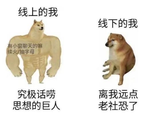 doge目瞪狗呆表情包，活在你表情包里的神烦狗Doge