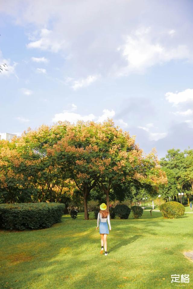 莲花山公园 网红打卡地，莲花山公园又红了