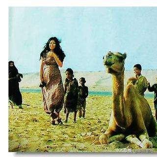 撒哈拉沙漠三毛，三毛在撒哈拉沙漠里繁花似锦