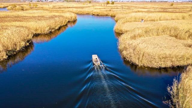 白洋淀冬天的生活，只有60来岁的人才会做……