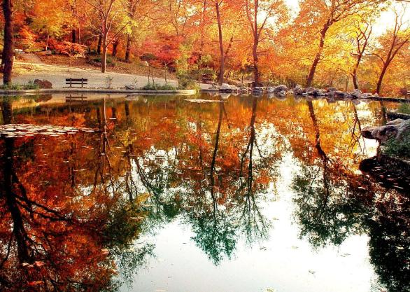 江苏盐城是几线城市，江苏盐城几线城市排名