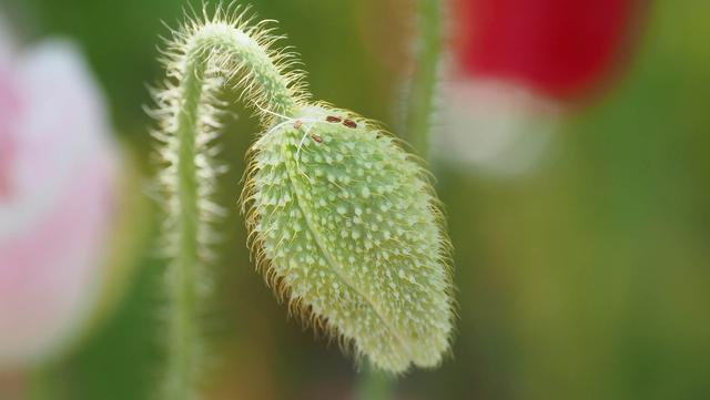 奥林巴斯em1，奥林巴斯em1mark3测评