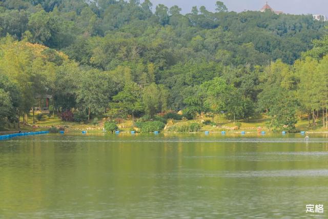 莲花山公园 网红打卡地，莲花山公园又红了