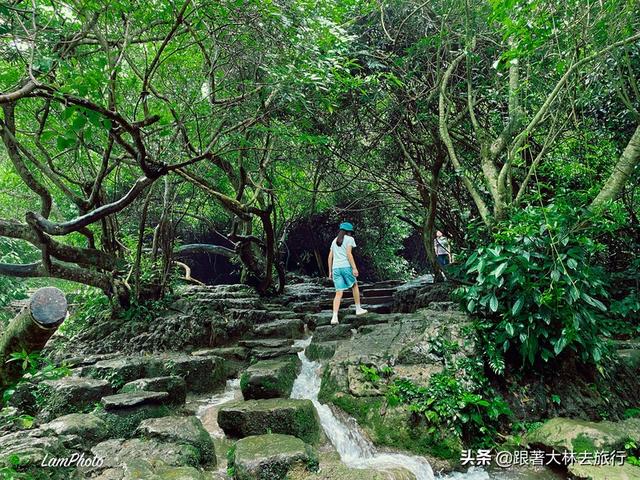 小七孔在贵州哪里，贵州小七孔景区在哪个城市（今日起贵州小七孔景区开园时间有变）