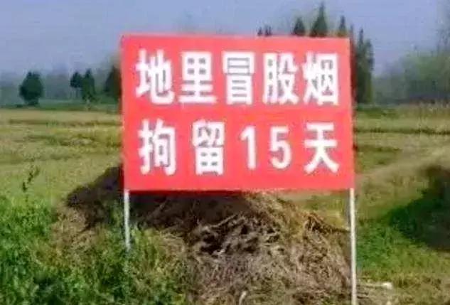 关于秸秆禁烧的宣传资料，关于秸秆禁烧这些你需要了解→