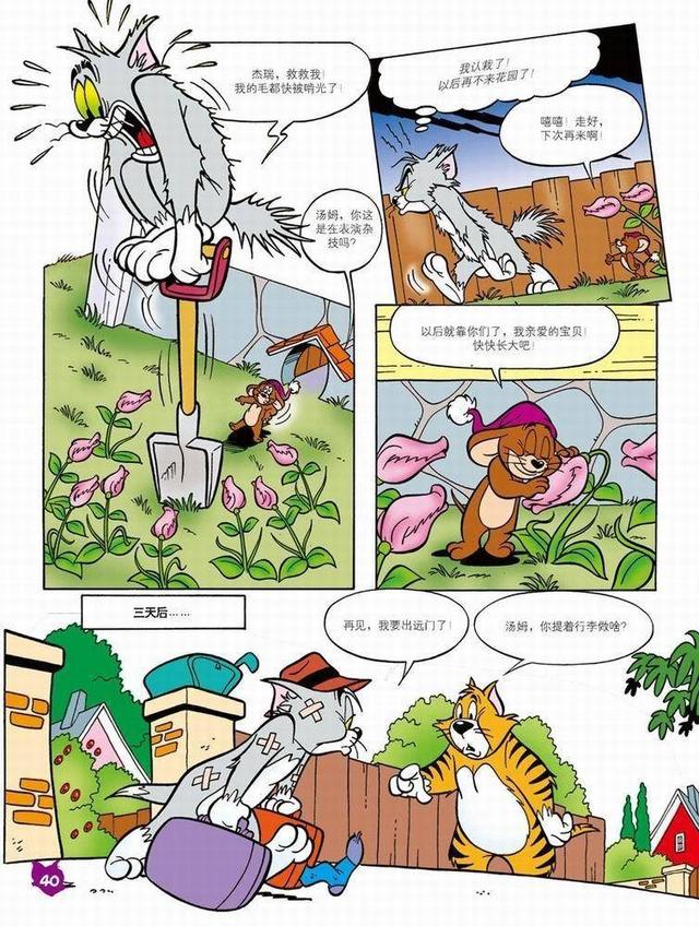 猫和老鼠漫画第九话，漫画：猫和老鼠