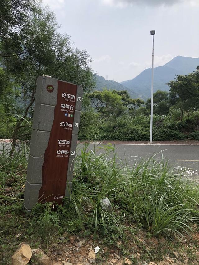 深圳梧桐山海拔多少米，深圳第一高峰梧桐山多少米（深圳十大高峰排名看看你都爬了哪几座）