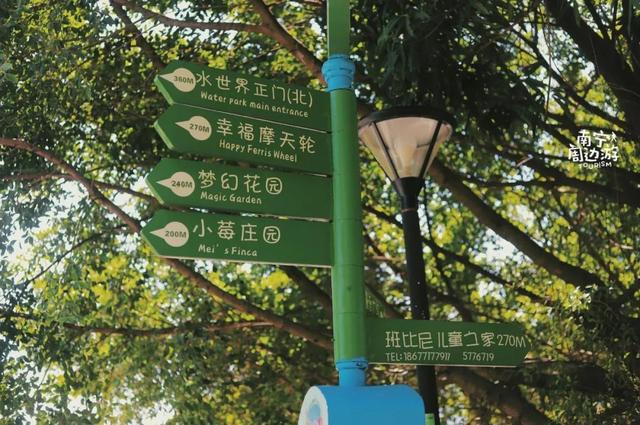 南宁附近花海景点推荐，南宁这几处花海，美了