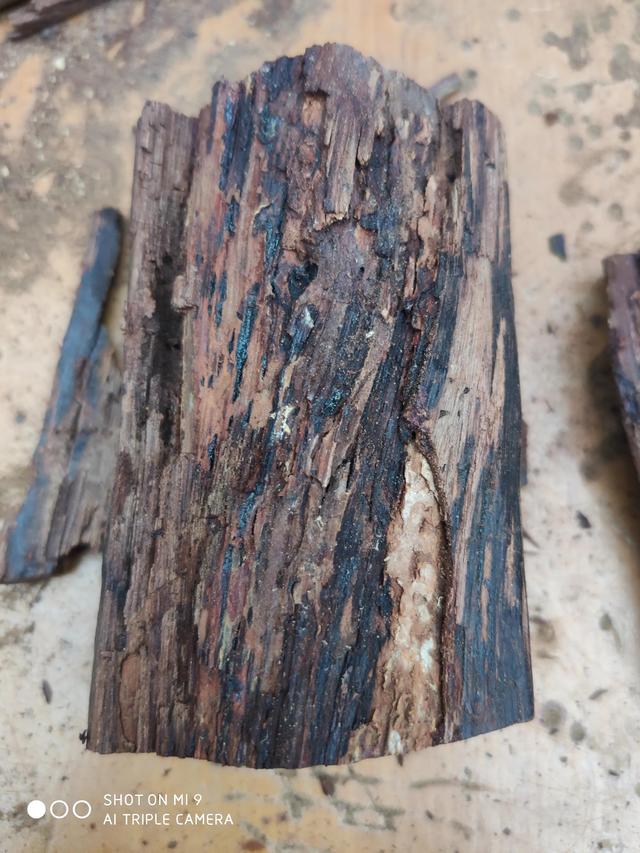 降真香能除狐臭(降真香的香气对人体的作用)