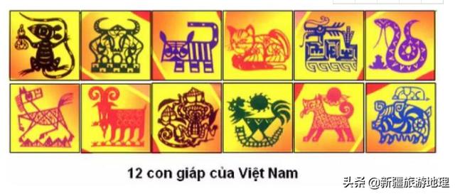 越南历史上最真实的事，越南冷知识越南十大怪