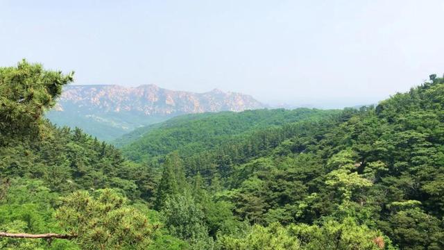 仙境蓬莱游玩攻略，退休旅居生活第一站