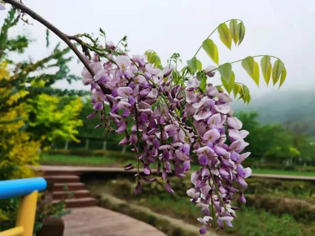 霞浦旅游必去景点介绍，霞浦这6个踏青好去处推荐