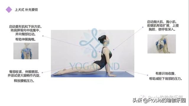 聽說練了拜日式A的你，已經瑜伽入門？如果還不明白，看這里！ 健身減肥達人 第18张