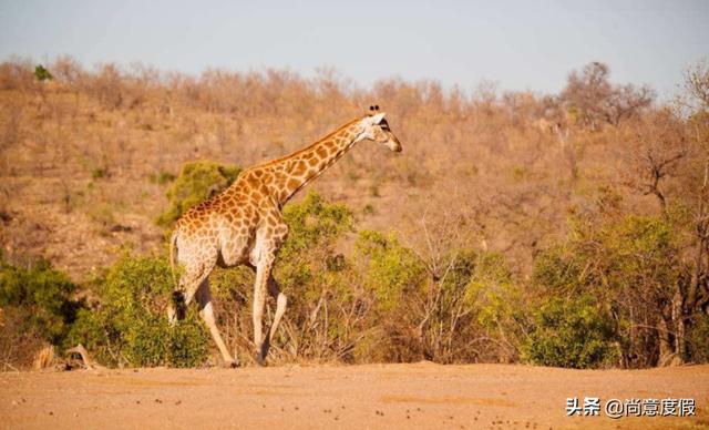 马尔代夫自由行旅游攻略，一个国家的价格玩两国