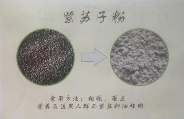 紫苏籽能做油吗，家常凉拌必备油