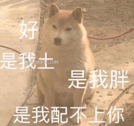 希腊神话最厉害的人物，十二项不可能完成的任务只有他能办成