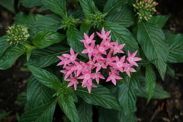 北京必玩景点排名，北京必玩的十个景点排名榜单（北京最值得去的12个景区）