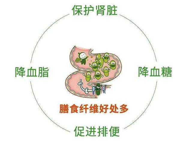 金燕耳和椴木银耳区别，为什么金燕耳比普通银耳贵这么多