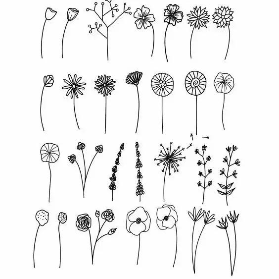 植物手抄报超级简单，植物手抄报小素材