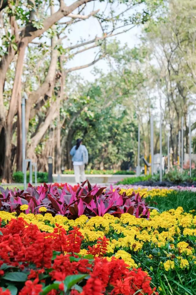 深圳世界之窗好玩吗，深圳世界之窗让你一天游遍全世界