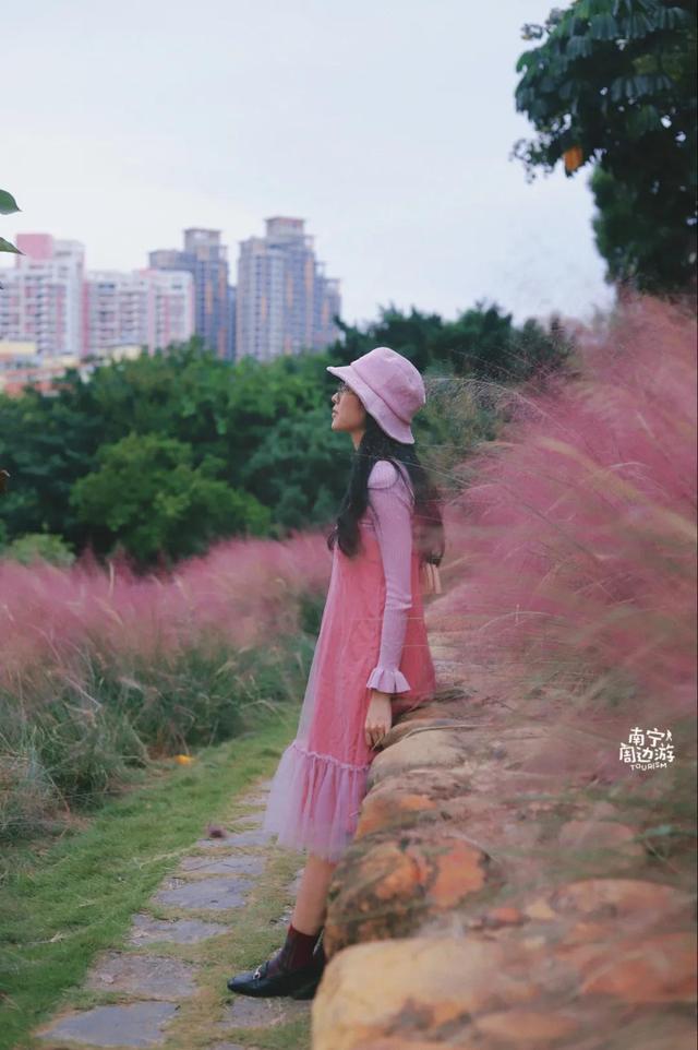 南宁附近花海景点推荐，南宁这几处花海，美了