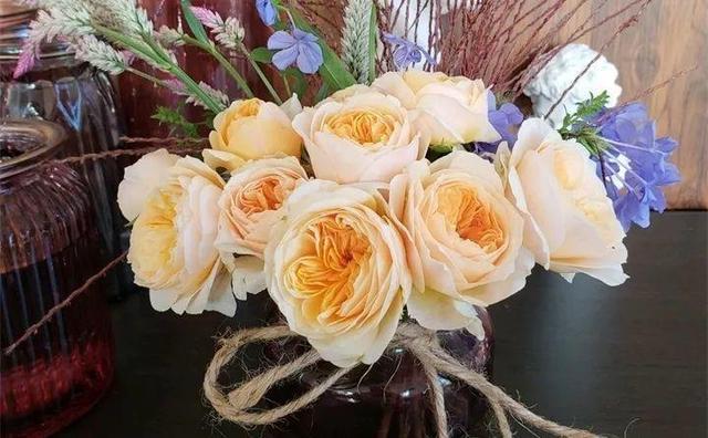 12个街头常见骗术，这些花市门口的骗术