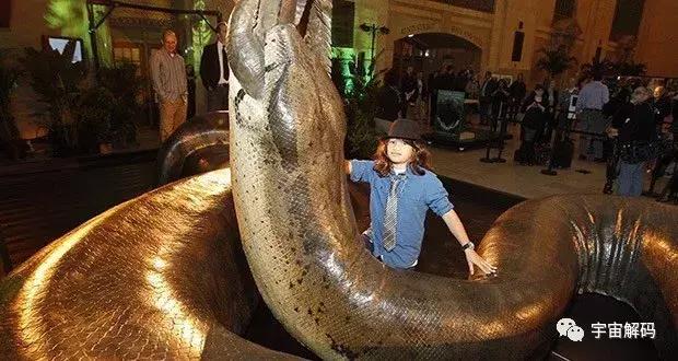 世界上最可怕的十大怪物，盘点地球史上十大巨型怪物