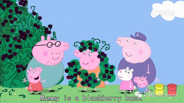 多吃水果对身体不好，就可能会“吃”出这些病来