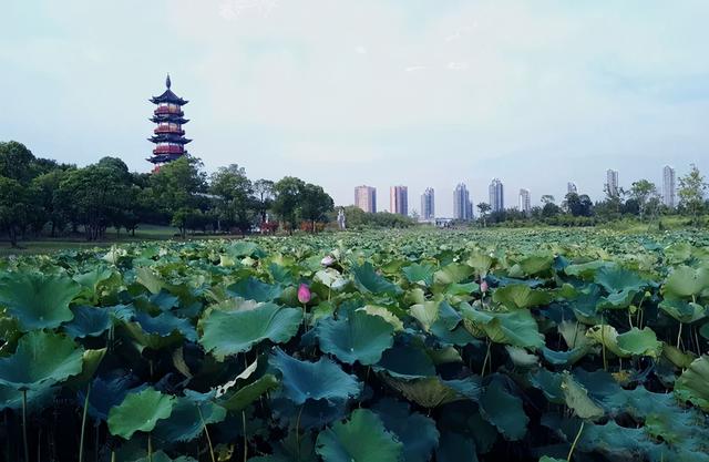 南昌旅游攻略必玩的景点，江西南昌旅行攻略