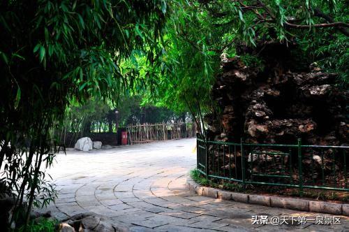 竹林仙境之美，竹林深处的万竹园