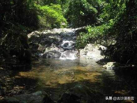 深圳梧桐小镇露营，可以带她在深圳这样玩