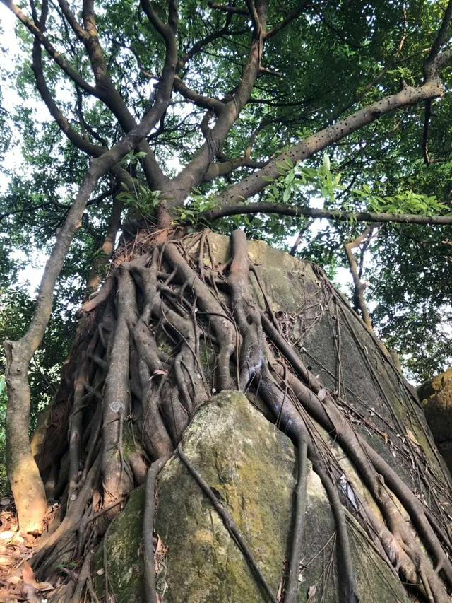 亚里士多德的名言，亚里士多德十句经典语录（十位世界顶尖哲学家的30句名言↓↓）