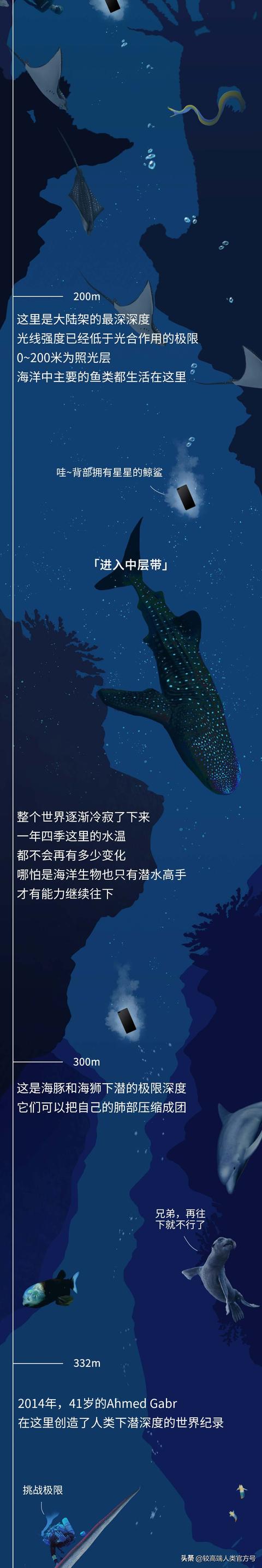 深海探秘16种奇特生物你见过几种，潜入海底一万米
