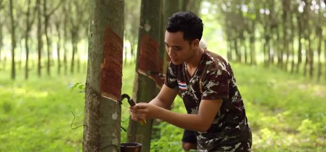 泰国赛莎梦乳胶内衣，乳胶内衣或将成为新潮流