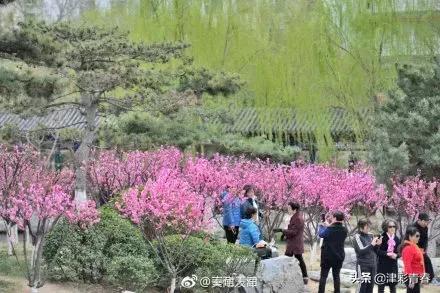 天津特色文化一日游，独家天津旅游手绘攻略新鲜出炉