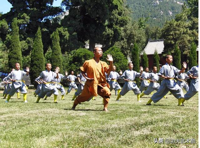 少林武术基本功，少林武术基本功大全（想当少林功夫一代宗师要几步）