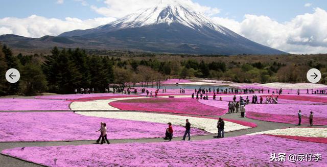 日本旅游攻略最值得去的景点，日本旅游推荐必去的36个不可错过的景点