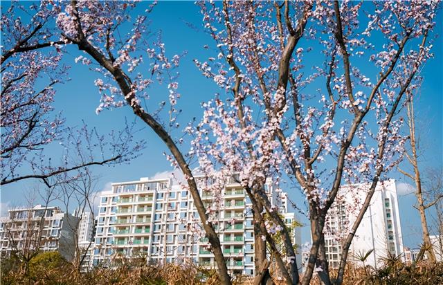 滨水公园确实让广大民众十分喜爱，这个滨水公园将