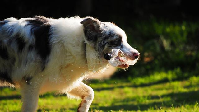 奥林巴斯em1，奥林巴斯em1mark3测评