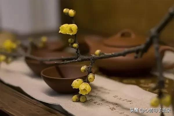 一切的一切都是天意，一切全都是天意