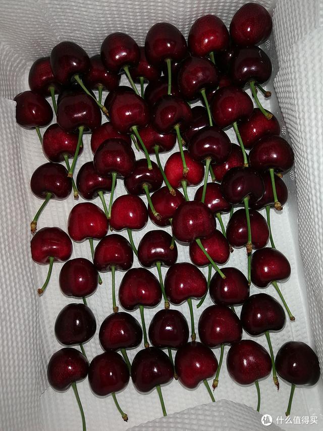 国产樱桃品种对比，国产樱桃品种及购买一些介绍