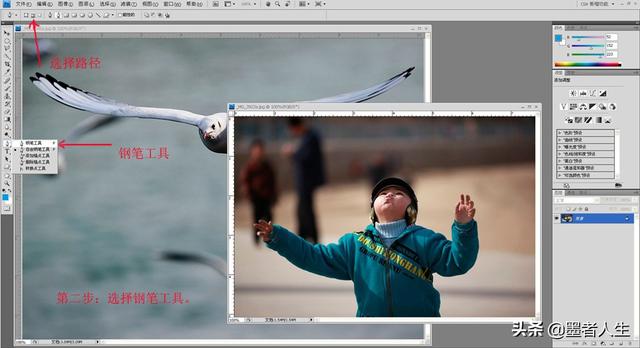 ps钢笔，ps 钢笔教程