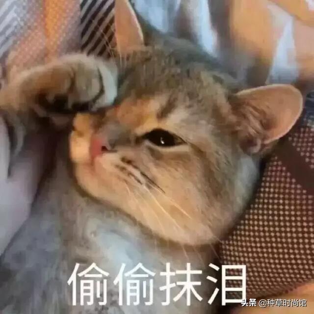 屈臣氏是卖什么的，屈臣氏必买10件良心产品（屈臣氏，大事不妙）