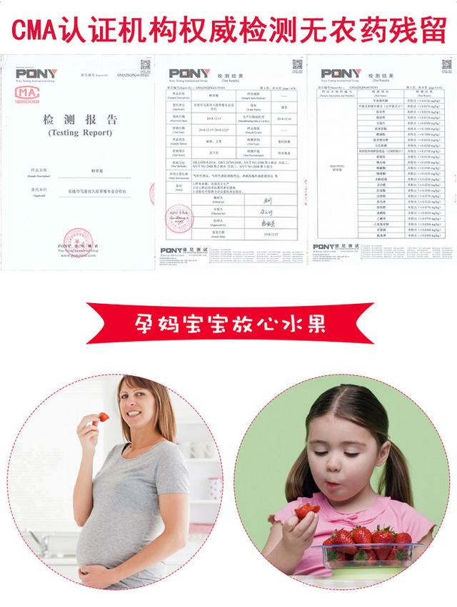 丹东草莓图库，草莓在我国栽培还没有100年
